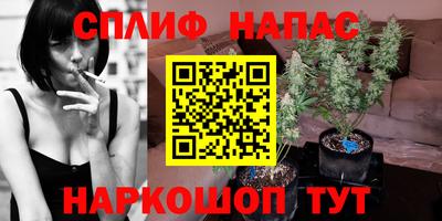 Альфа ПВП Гусиноозёрск